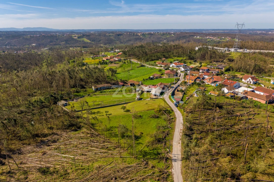 Terreno para Venda em Souto da Carpalhosa e Ortigosa Foto 10