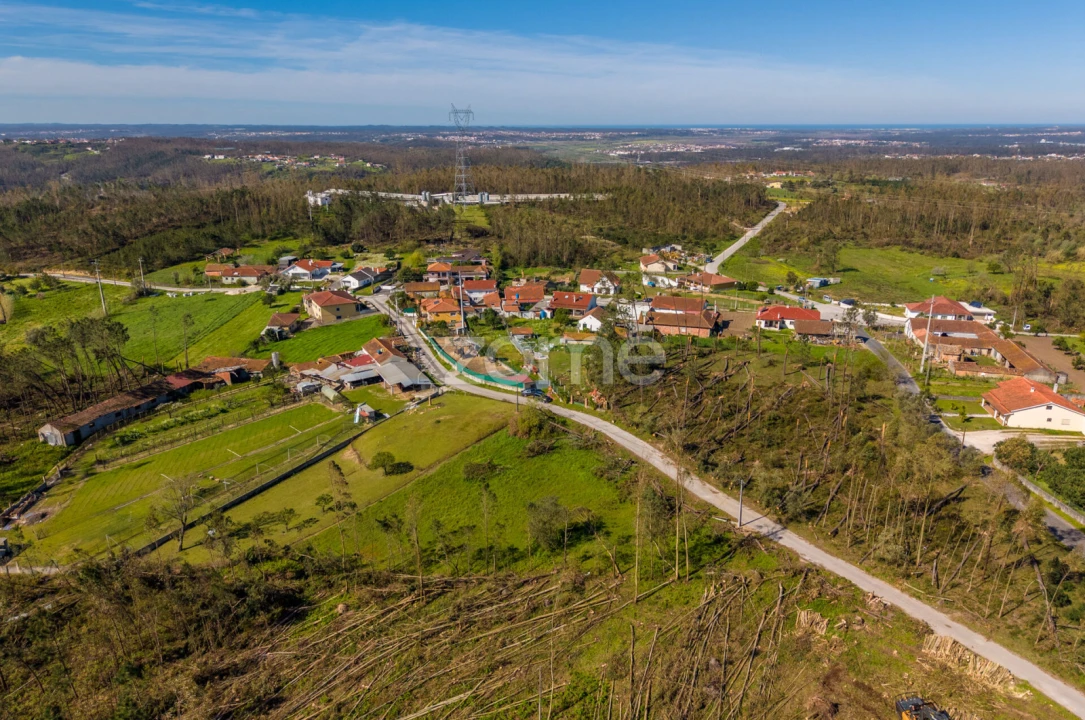 Terreno para Venda em Souto da Carpalhosa e Ortigosa Foto 6