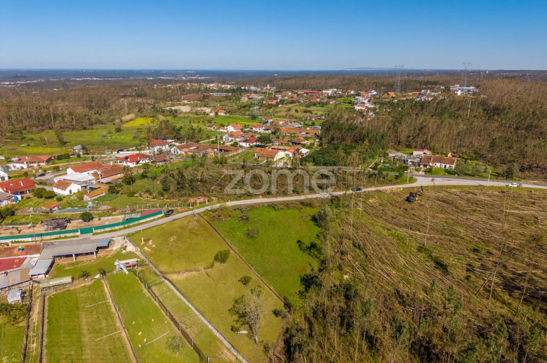 Terreno para Venda em Souto da Carpalhosa e Ortigosa Foto 4