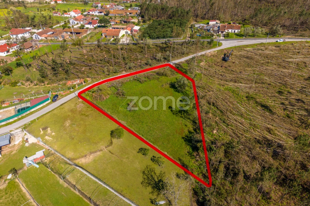 Terreno para Venda em Souto da Carpalhosa e Ortigosa Foto 20