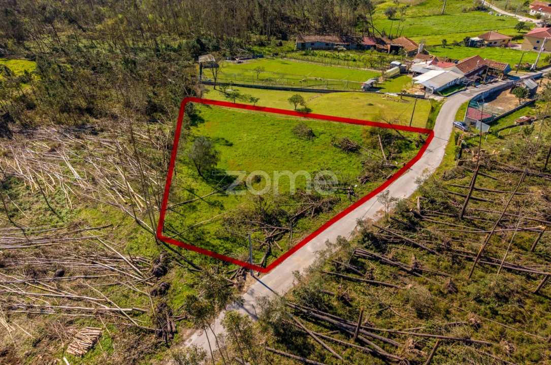 Terreno para Venda em Souto da Carpalhosa e Ortigosa Foto 2