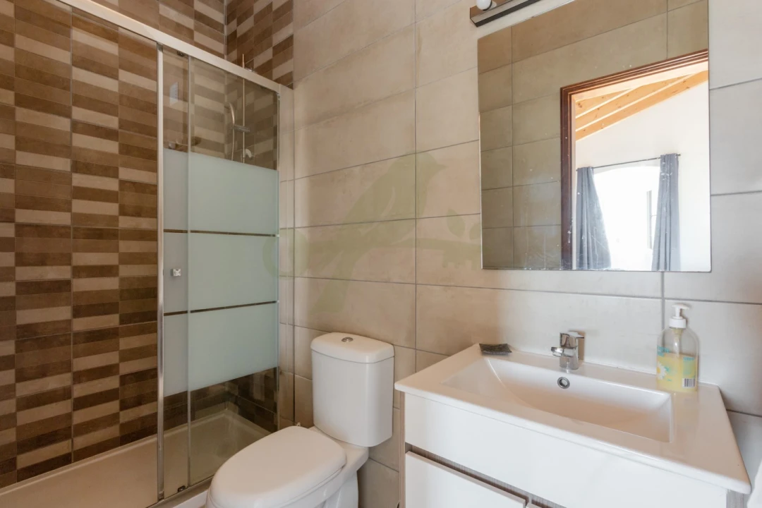 Moradia T7 para Venda em São Brás de Alportel Foto 53