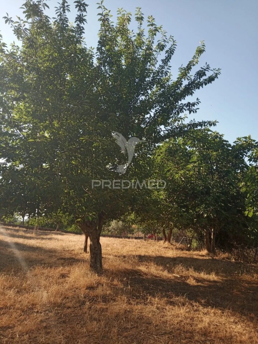 Quinta T3 para Venda em São João Baptista Foto 32