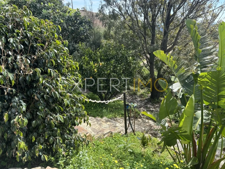 Moradia T2 para Venda em Santa Catarina da Fonte do Bispo Foto 29