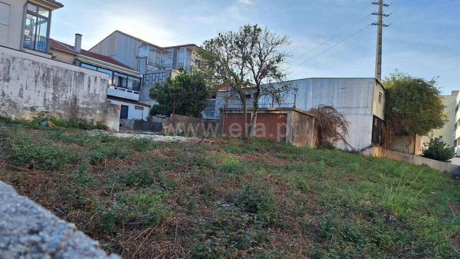Terreno para Venda em Oliveira do Douro Foto 3
