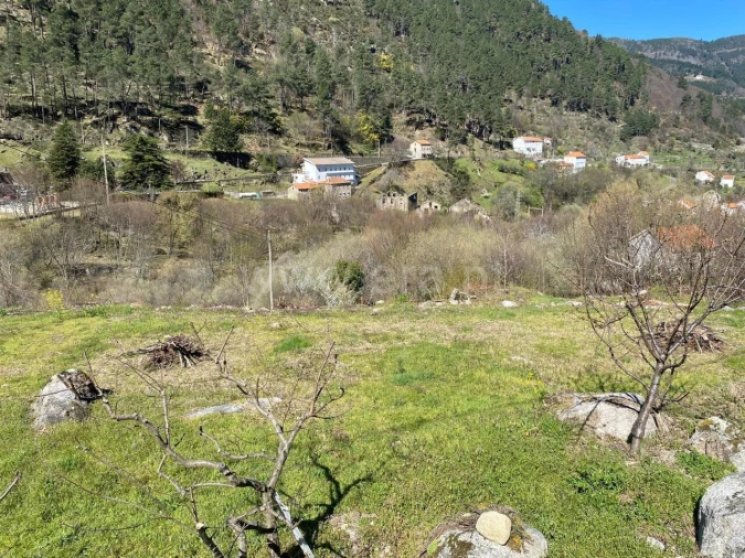 Terreno para Venda em Manteigas (São Pedro) Foto 8