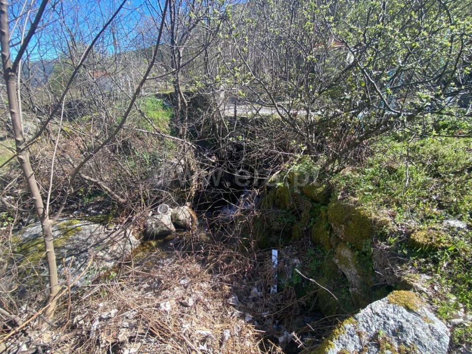 Terreno para Venda em Manteigas (São Pedro) Foto 5