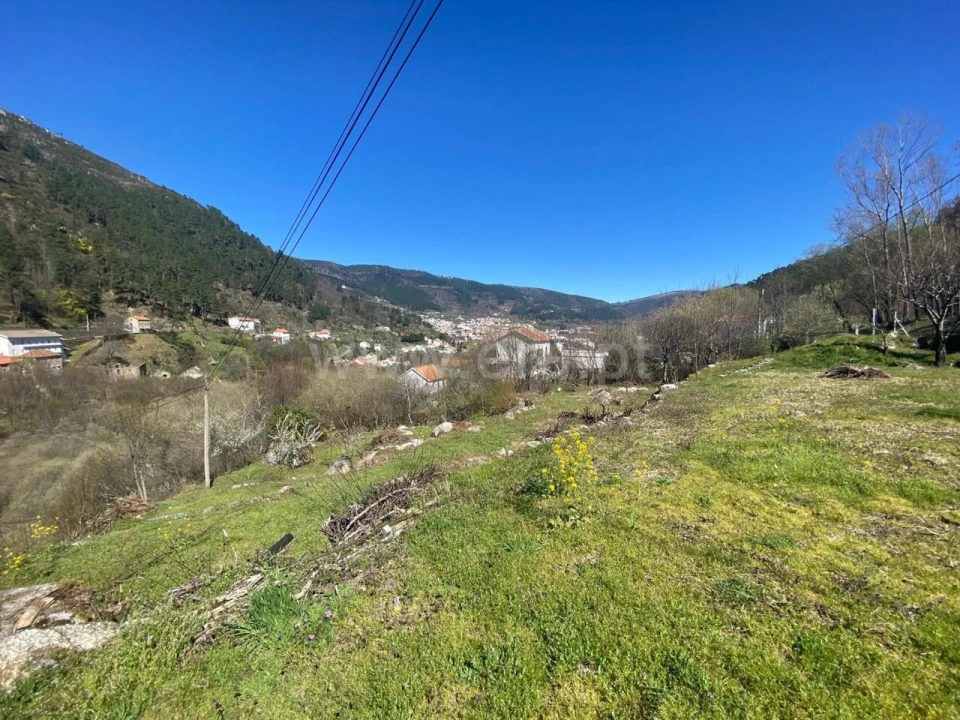 Terreno para Venda em Manteigas (São Pedro) Foto 4