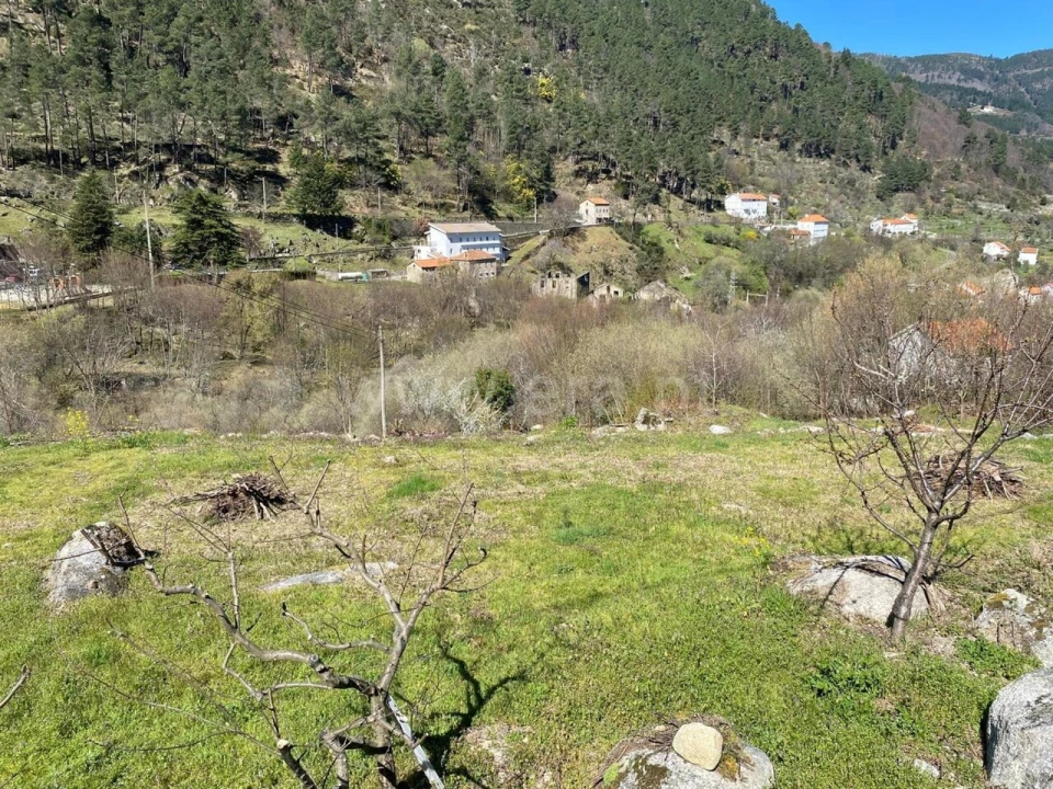 Terreno para Venda em Manteigas (São Pedro) Foto 7