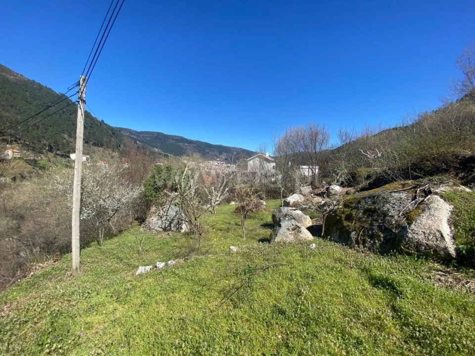 Terreno para Venda em Manteigas (São Pedro) Foto 2