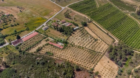 Quinta T1 para Venda em Três Povos
