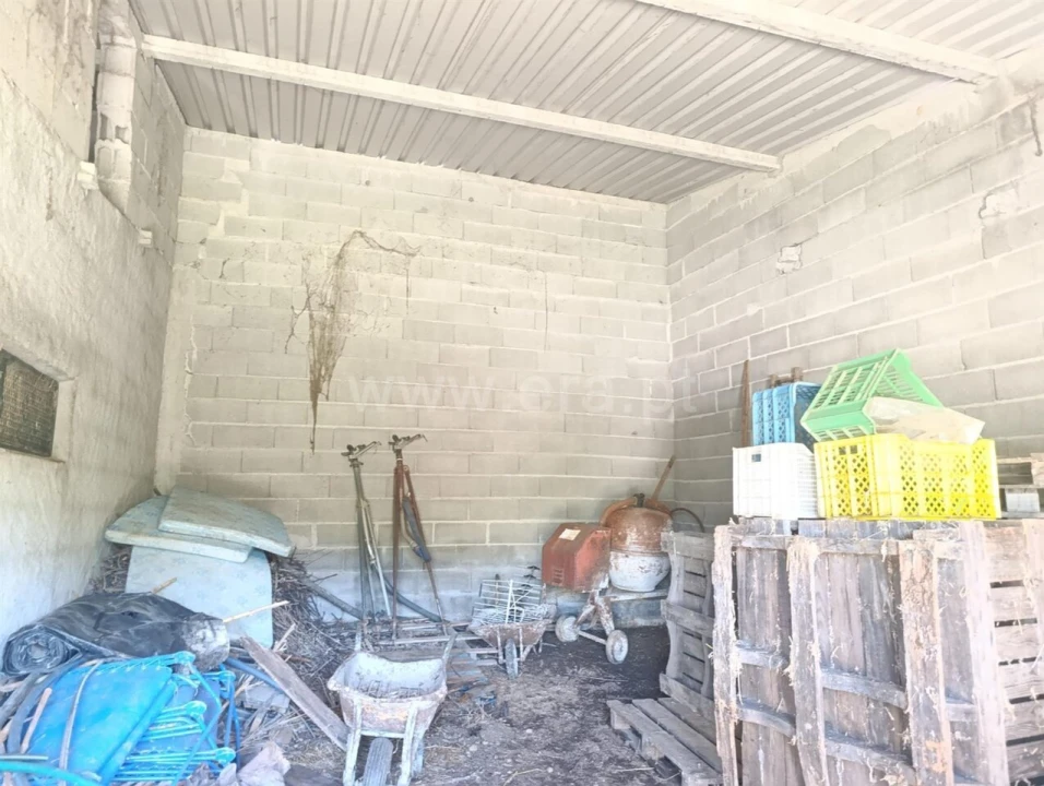 Quinta T1 para Venda em Três Povos Foto 16