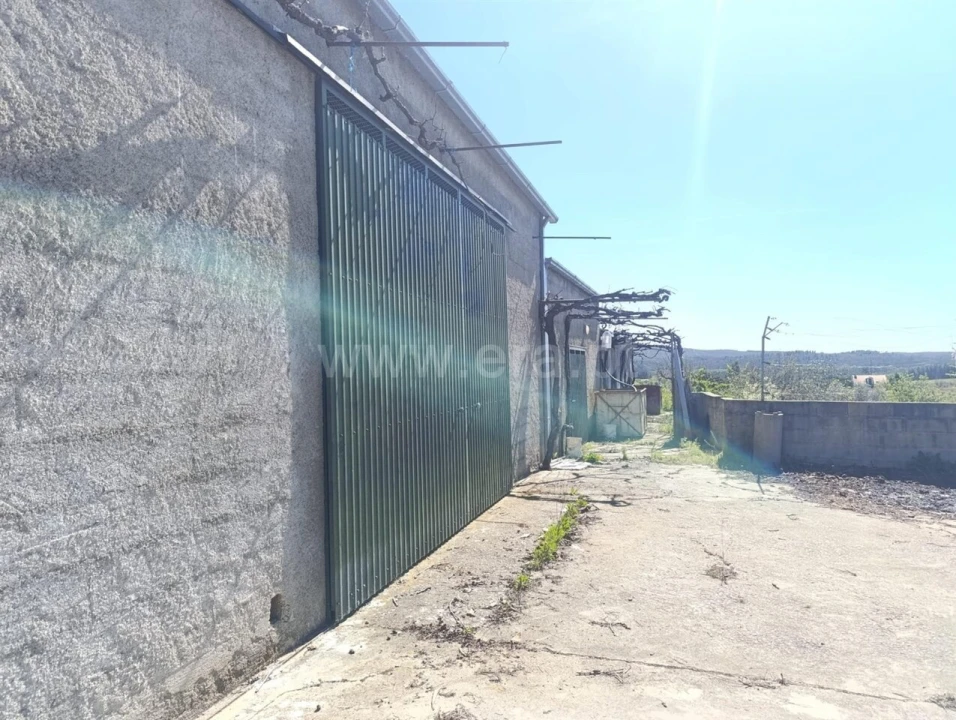 Quinta T1 para Venda em Três Povos Foto 12