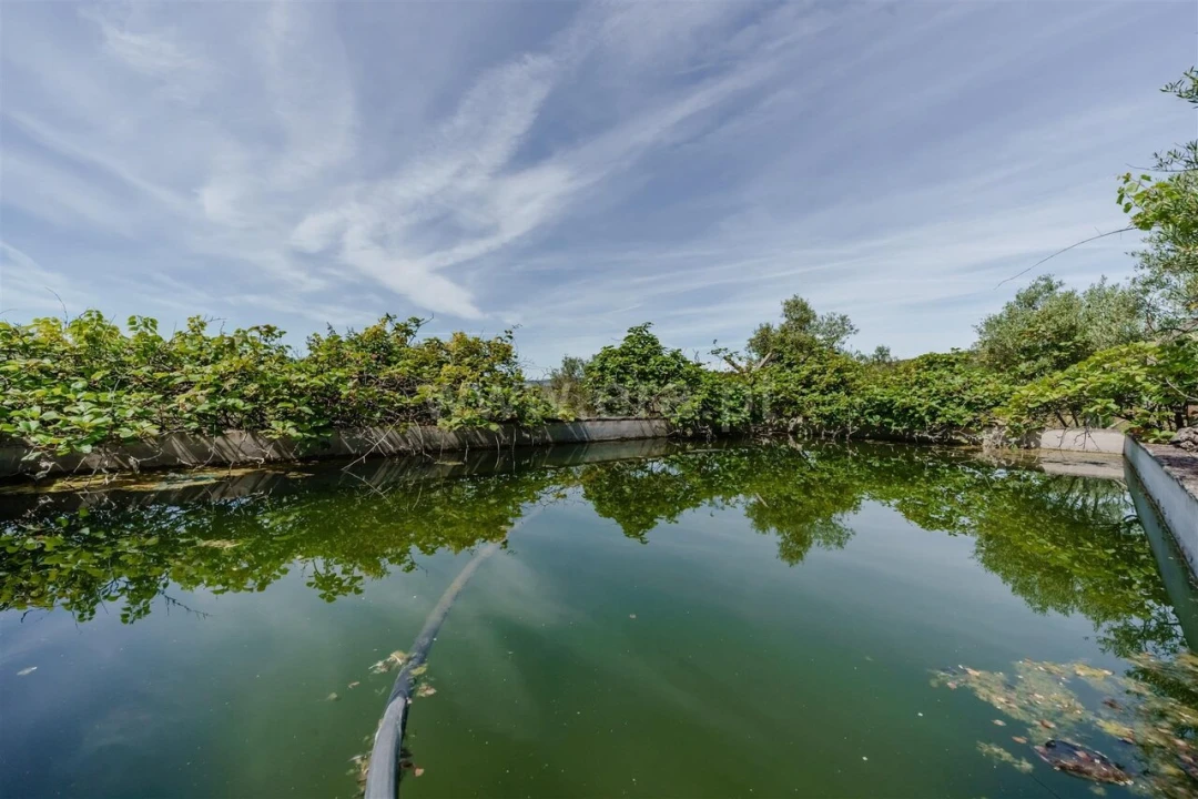 Quinta T1 para Venda em Três Povos Foto 16