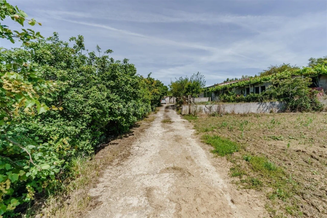 Quinta T1 para Venda em Três Povos Foto 3