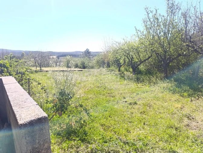 Quinta T1 para Venda em Três Povos Foto 3