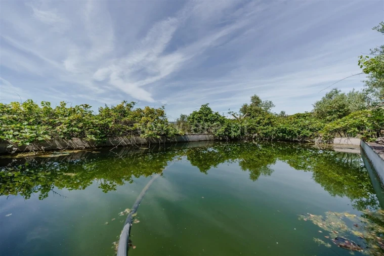 Quinta T1 para Venda em Três Povos Foto 16