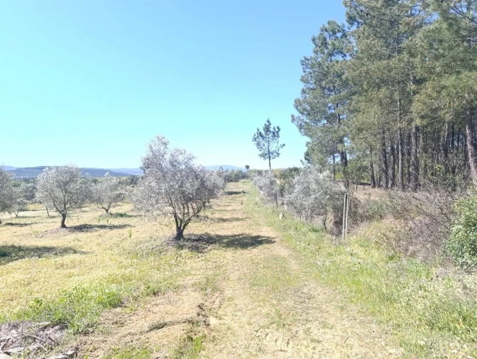 Quinta T1 para Venda em Três Povos Foto 8