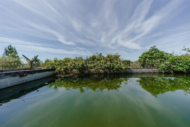 Quinta T1 para Venda em Três Povos Foto 17