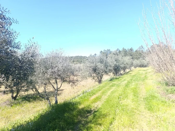 Quinta T1 para Venda em Três Povos Foto 7