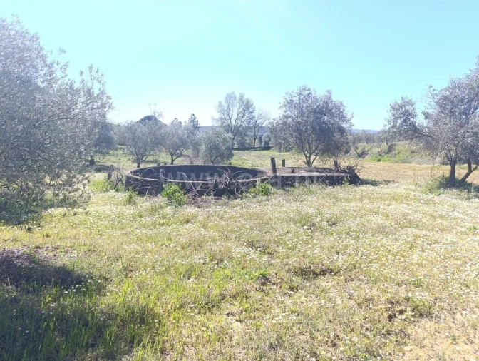 Quinta T1 para Venda em Três Povos Foto 4