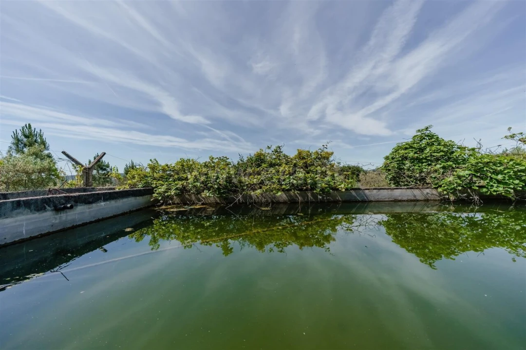 Quinta T1 para Venda em Três Povos Foto 17