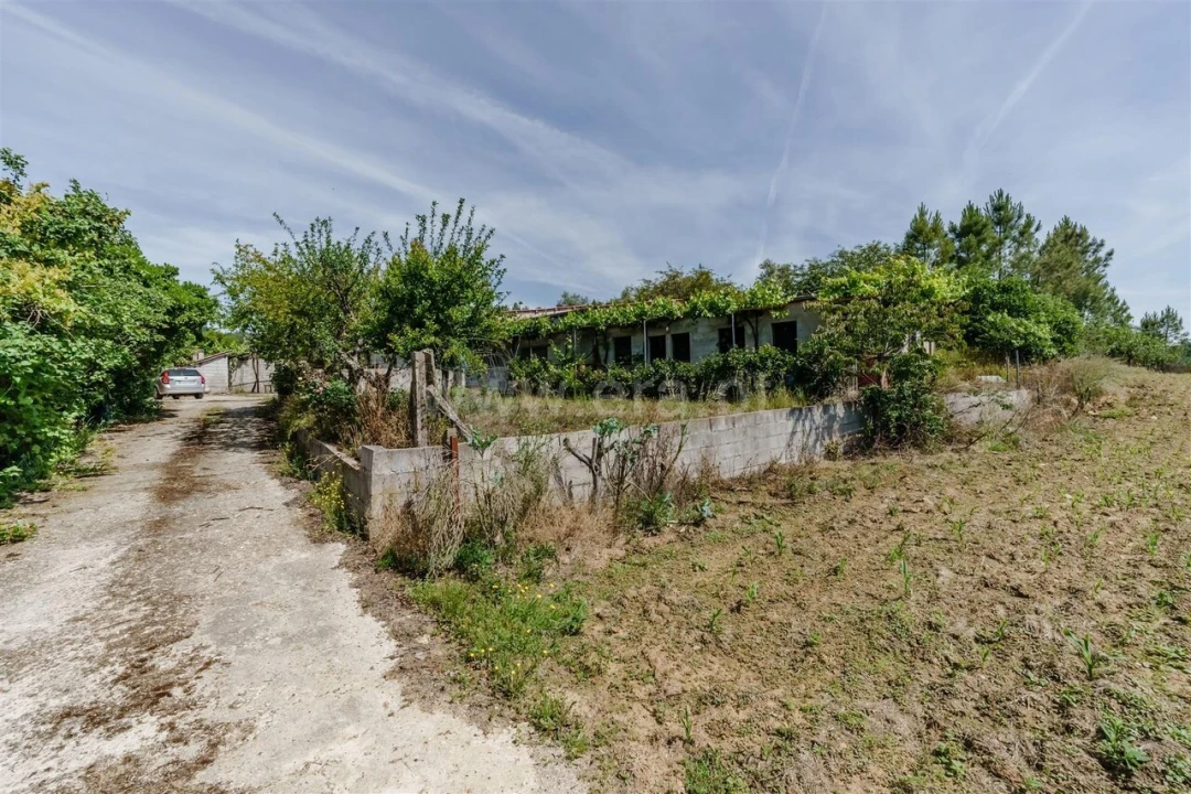 Quinta T1 para Venda em Três Povos Foto 4