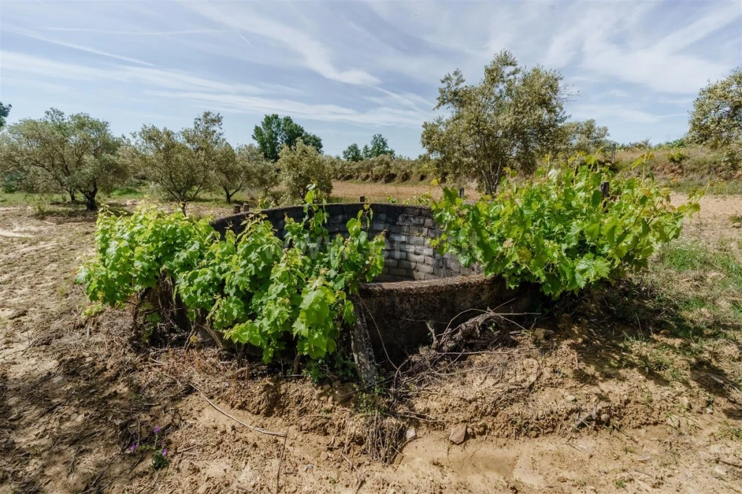 Quinta T1 para Venda em Três Povos Foto 19