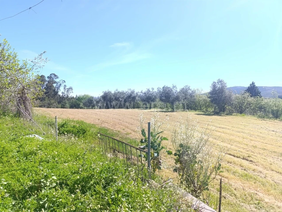 Quinta T1 para Venda em Três Povos Foto 2