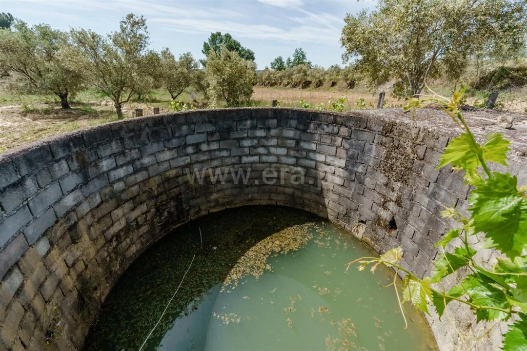Quinta T1 para Venda em Três Povos Foto 20