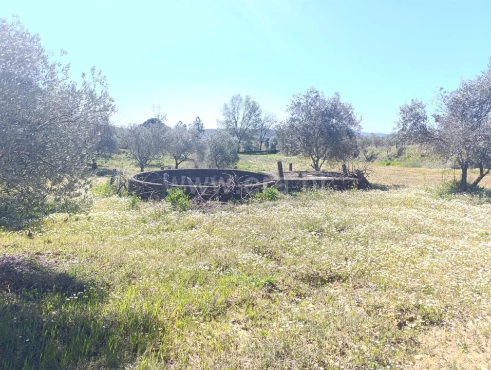 Quinta T1 para Venda em Três Povos Foto 4