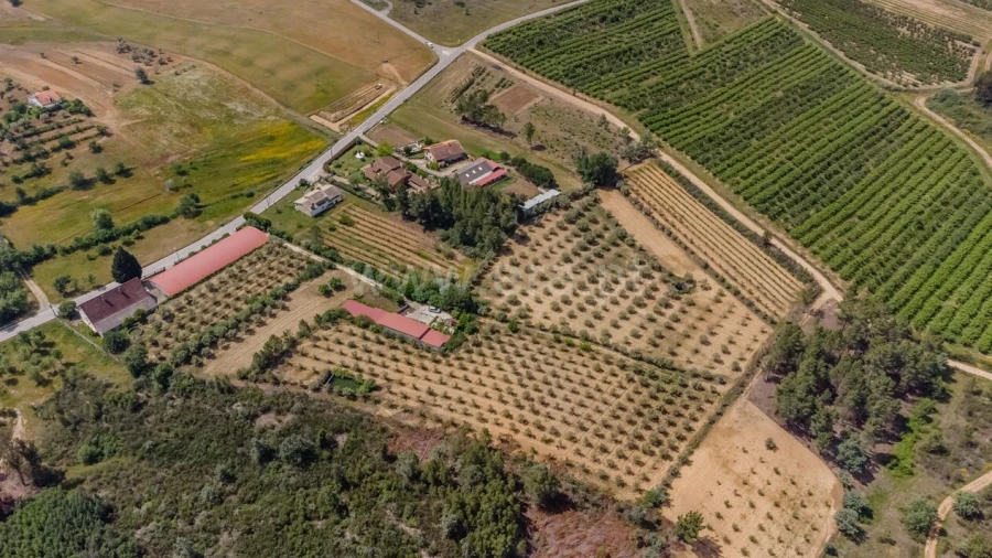Quinta T1 para Venda em Três Povos