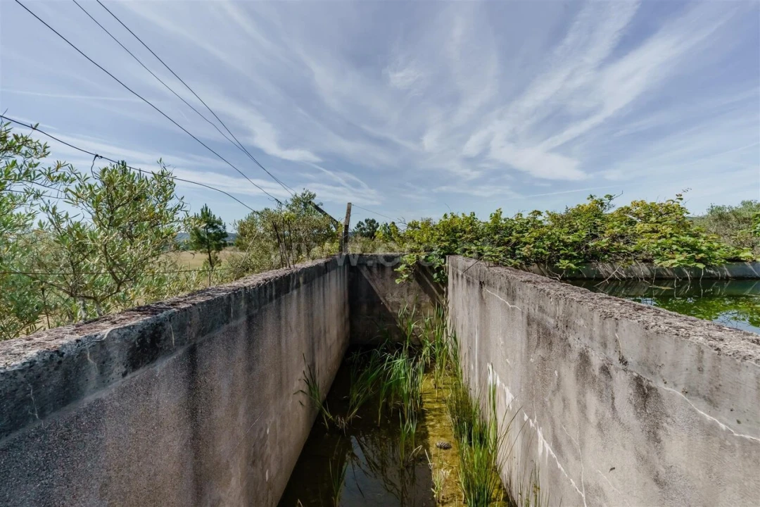 Quinta T1 para Venda em Três Povos Foto 15