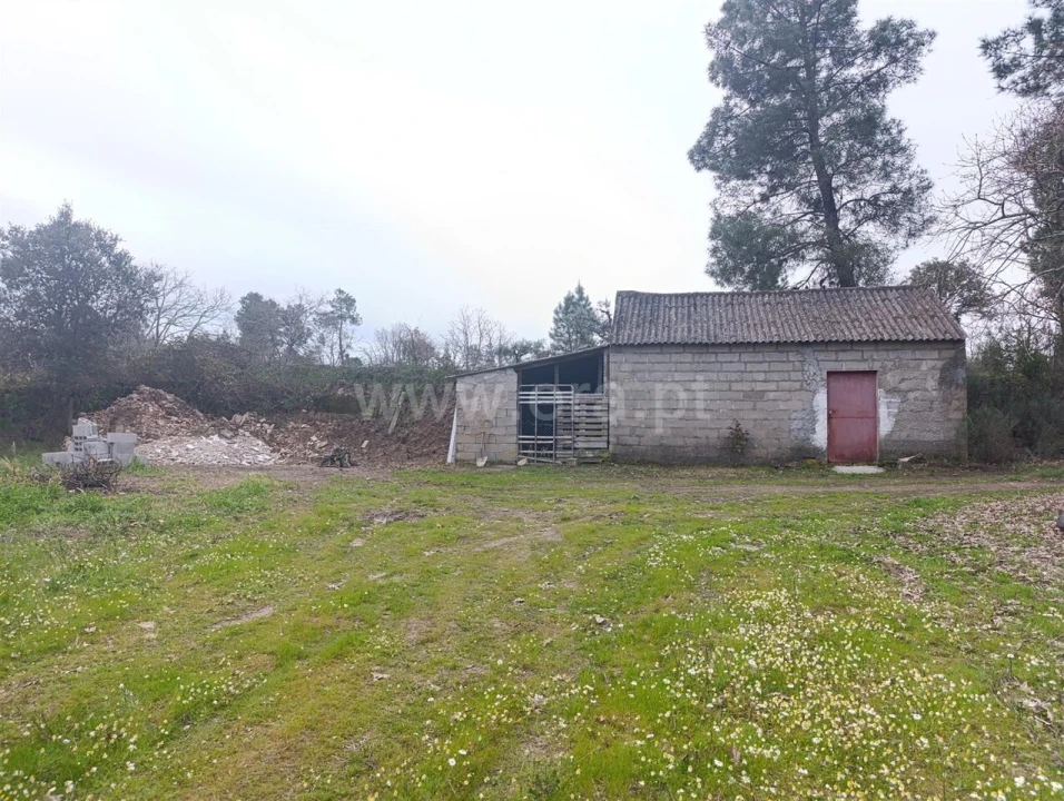 Terreno para Venda em Orca Foto 1