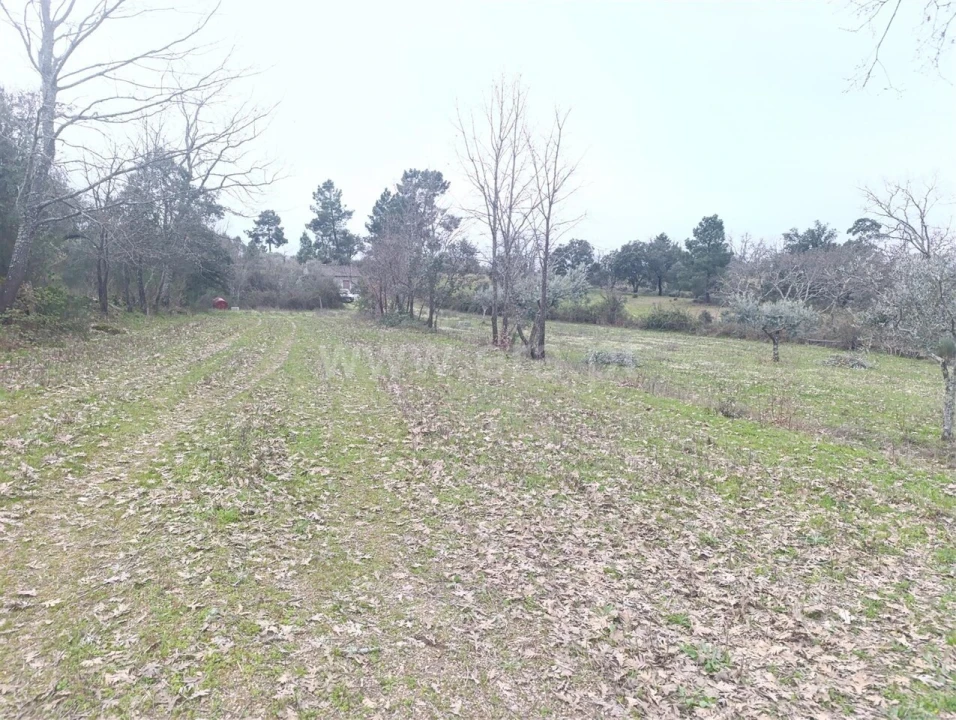 Terreno para Venda em Orca Foto 7