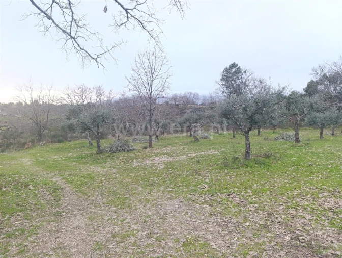 Terreno para Venda em Orca Foto 9