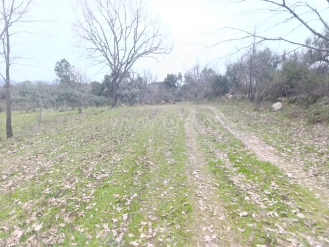 Terreno para Venda em Orca Foto 5