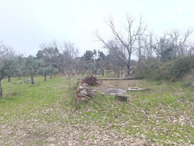 Terreno para Venda em Orca Foto 8