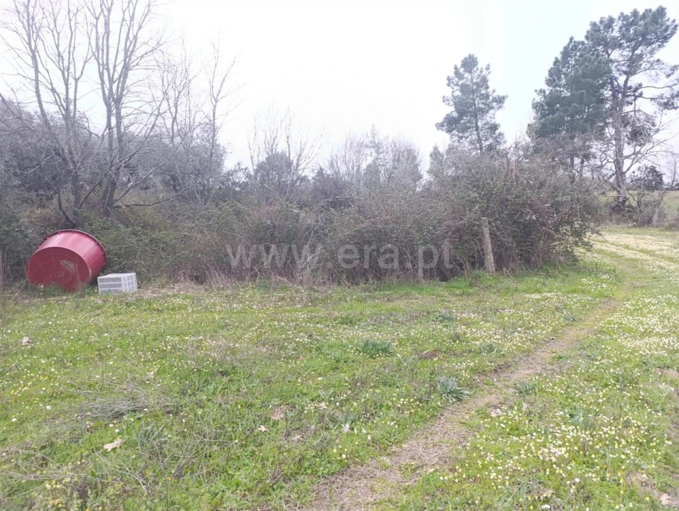 Terreno para Venda em Orca Foto 3