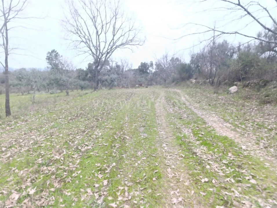 Terreno para Venda em Orca Foto 5
