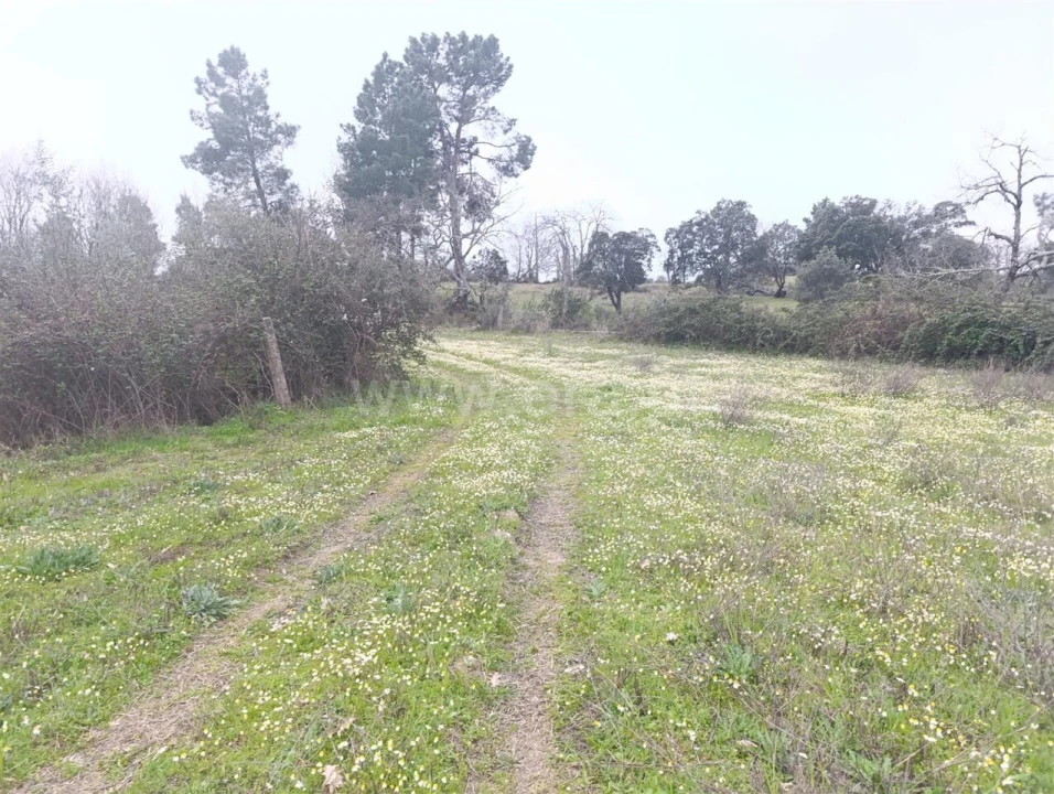 Terreno para Venda em Orca Foto 2