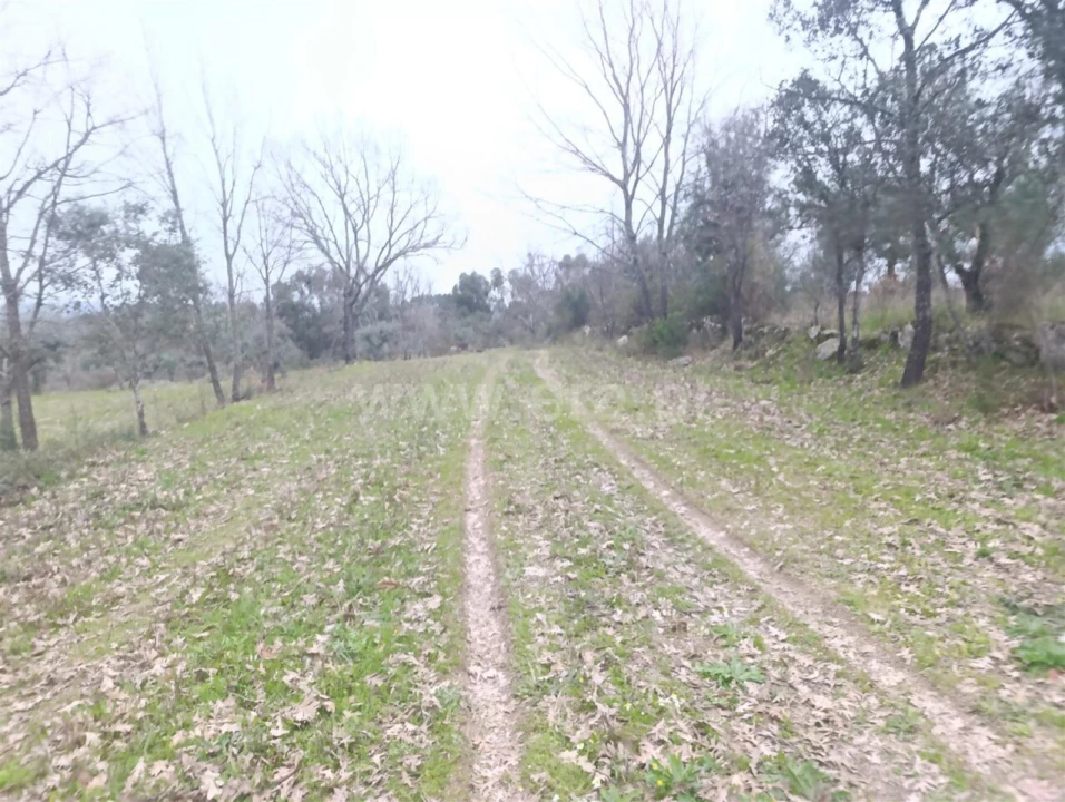 Terreno para Venda em Orca Foto 4