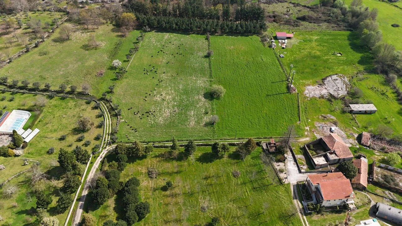 Quinta T3 para Venda em Tourais e Lajes Foto 1