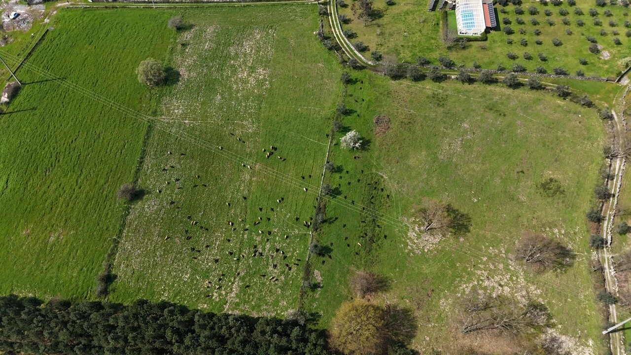 Quinta T3 para Venda em Tourais e Lajes Foto 5
