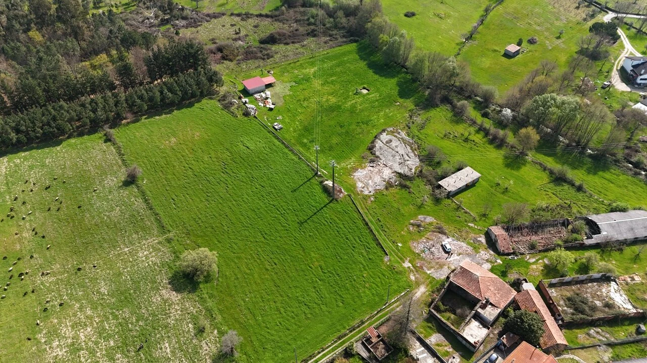 Quinta T3 para Venda em Tourais e Lajes Foto 6