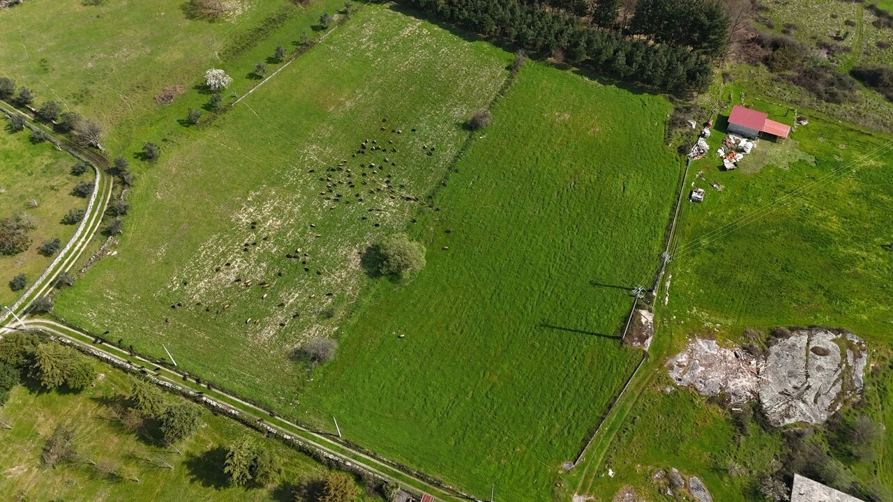 Quinta T3 para Venda em Tourais e Lajes Foto 8