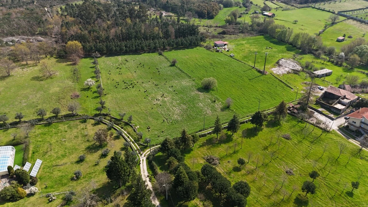 Quinta T3 para Venda em Tourais e Lajes Foto 10
