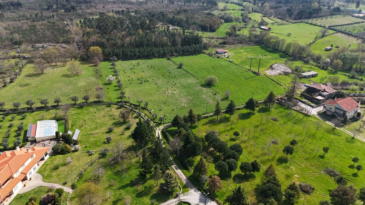 Quinta T3 para Venda em Tourais e Lajes Foto 11
