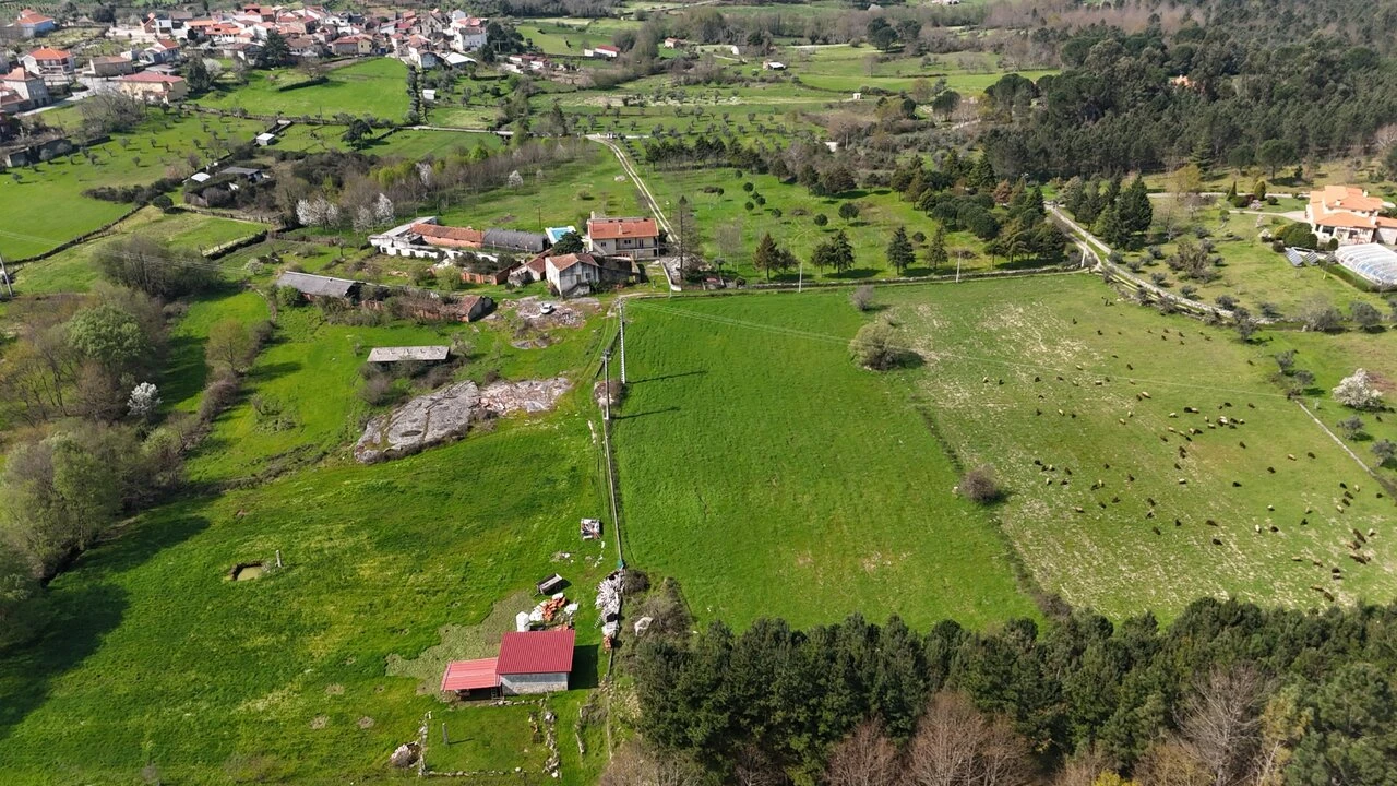 Quinta T3 para Venda em Tourais e Lajes Foto 13