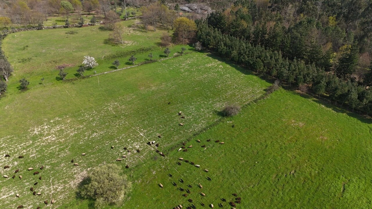 Quinta T3 para Venda em Tourais e Lajes Foto 14